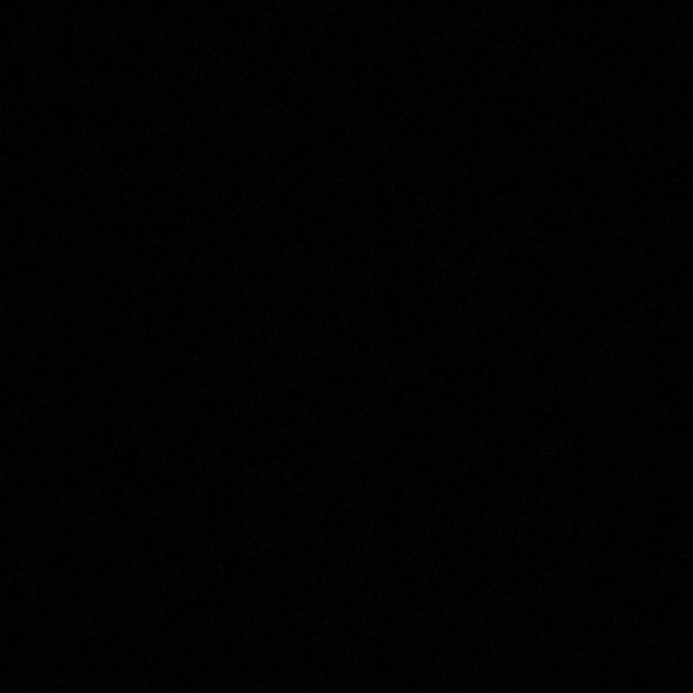 ‼️EVERYTHING MUST GO‼️